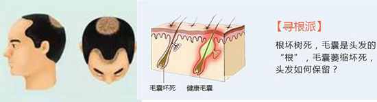 未标题-5.jpg
